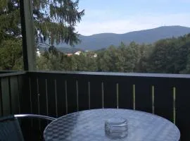 Wohnungen- Christopherhof MJ,Grafenwiesen
