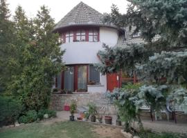 SUNFISH Apartman, готель у місті Балатонсарсо