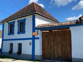 Casa de Vacanta FAMILY & FRIENDS, guest house in Criţ