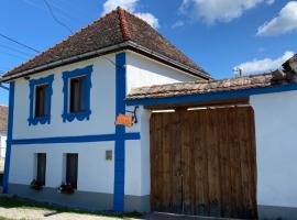 Casa de Vacanta FAMILY & FRIENDS, hotel in Criţ