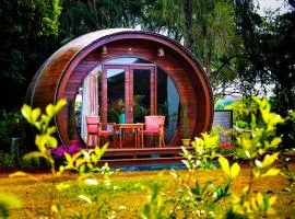 Regenta Resort Soma Vine Village Nashik