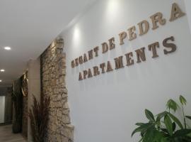 Gegant de Pedra Apartaments、Adzanetaのキッチン付きホテル