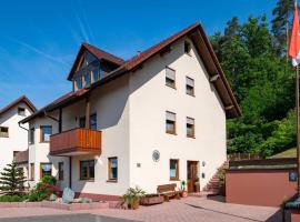 Ferienwohnung Hauk, cheap hotel in Laudenbach