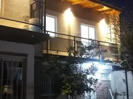 ballena franca