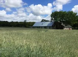 Flickebäck