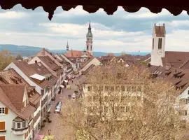 herziges Apartment mitten im schoenen Thurgau