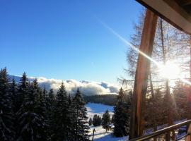 CHAMROUSSE-SPORT&DETENTE appartement 6 couchages avec superbe vue, hotel a Chamrousse