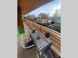 Familien-Haus,Garten,Grill,20m zum Rhein