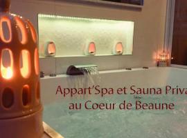 Appart' Spa et Sauna Privatif Au Cœur De Beaune, hotel cerca de Estación de tren de Beaune, Beaune