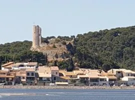 chalet typique 50 m de la mer