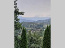 House in the Forest, villa in Cătunu