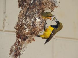 Sunbird Motel, motel en Townsville