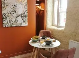Les appartements du centre, refaits à neuf, climatisés, hyper centre, 50m à pieds des commerces, restaurants, parking gratuit