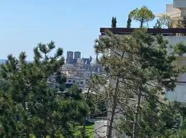 Le Mun,3 étoiles-T2-60m2-balcon-parking-wifi-linge-produits-face à la gerdarmerie-vue cathedrale