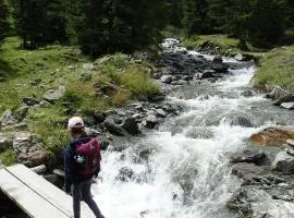 Die Älplersuit im Backpacker - Berghüsli -ganz einfach - ganz unkompliziert-ganz relaxd