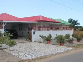 Dubbel woonhuis Selderiestraat Paramaribo