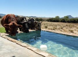 Karoo Ridge Eco-Lodges, holiday home in Spring Valley
