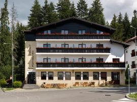 Manor Ski Hotel, khách sạn 3 sao ở Predeal
