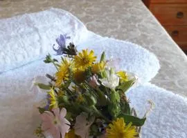 Agriturismo L'Arco