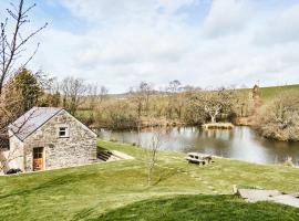 Penuwch Boathouse- Lakeside rural cottage ideal for families with indoor heated pool, holiday home in Carmarthen