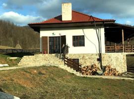 Pensiunea Rosia, guest house in Roşia