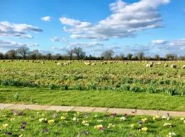 5 stars hotel in Colchester