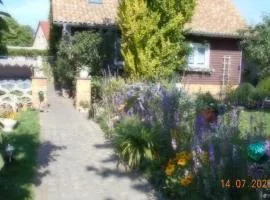 Appartment Dankerode