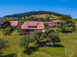 Schwarzwaldliebe, apartment in Fröhnd