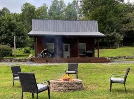 Dragon's Nest Cabin with Mountain Views, заміський будинок у місті Роббінсвіль