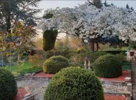 Chez maya