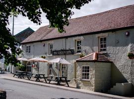 The Golden Lion, Newport, PEMBROKESHIRE – obiekt B&B w mieście Newport