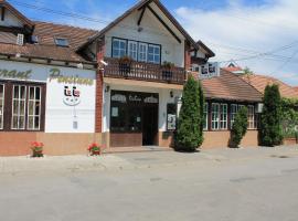Pension Tip-Top, hotel din Târgu Mureş