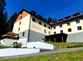 Wellness Hotel pod Kyčmolem, hotel v destinácii Horní Lomná