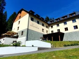 Wellness Hotel pod Kyčmolem