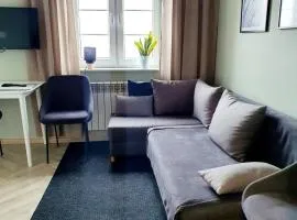 Apartamenty w Kamienicy - centrum, bezpłatny parking