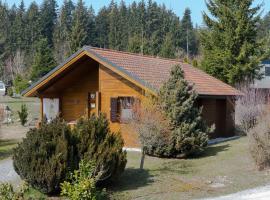 Ferienhaus Nr 15, Typ A, Feriendorf Jägerpark, Bayerischer Wald, loma-asunto kohteessa Viechtach