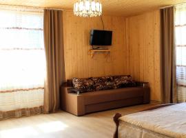 Homelike, apartment in Yablunytsya