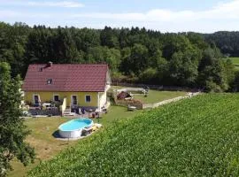 HAUS SONBERG mit Garten, Pool, Fasssauna, semi detached house with garden