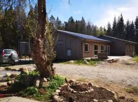 Skogsvillan