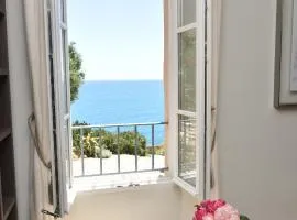 Luxurious/design house sea view old Antibes for 6
