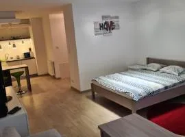 Wielicka Apartment