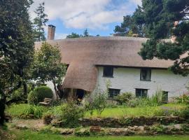 Ford House, country house in Stockland