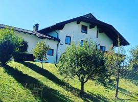 Ferienwohnung Schaller، فندق رخيص في Feistritz an der Drau