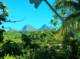 Appartement spacieux à Fort-de-France - Vue jardin 85 m², hotel en Fort-de-France