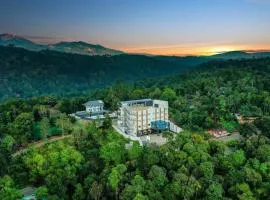 Lemongrass inn munnar