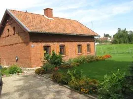 Pieczarki