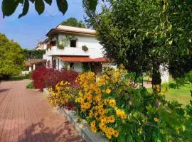 Il Ciliegio Holiday Apartment With Garden