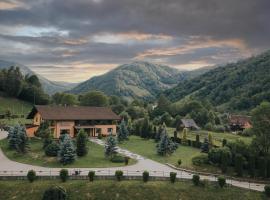 Pensiunea Rau Sadului, casa de hóspedes em Rau Sadului