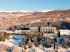 Inex Olgica Hotel & SPA, romantick&yacute; hotel v destinaci Ohrid