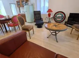 chic t3 60 m2 cosy 1 a 6 personnes rando, nature, bike park, station de ski